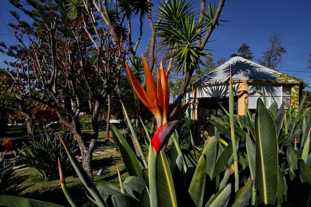 Villa Das Rosas Sintra Dış mekan fotoğraf